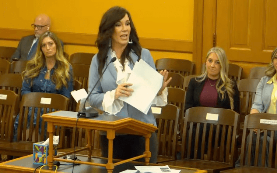 Meg speaking at a committee hearing